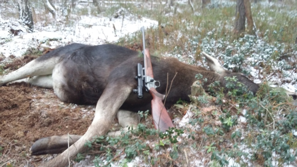 Séjour chasse test en Biélorussie - Page 6 330