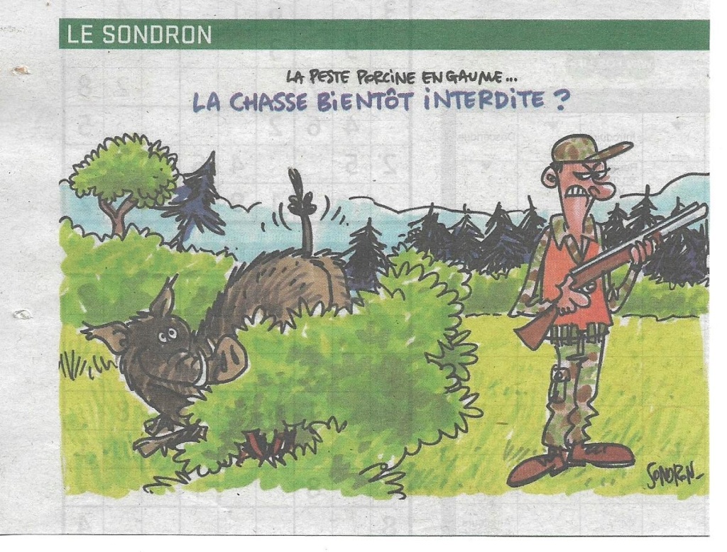 Peste porcine : On est en plein dedans !!! - Page 4 Ppa_av10