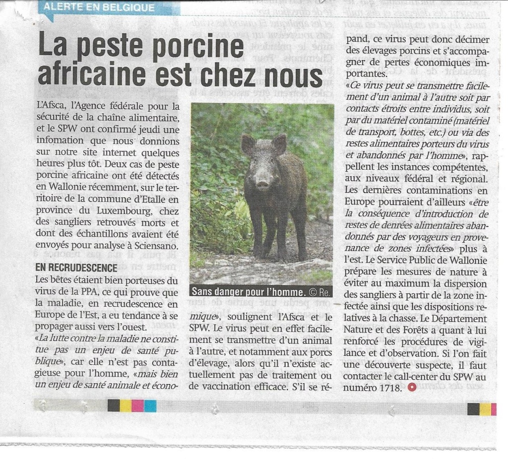 Peste porcine : On est en plein dedans !!! - Page 4 Ppa_la10