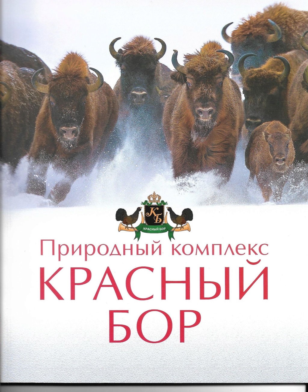 Prospection d'un pays féerique : La Biélorussie ! - Page 5 Scan0030