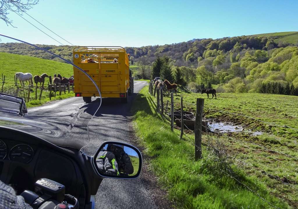 Découverte de l'Auvergne 1_413