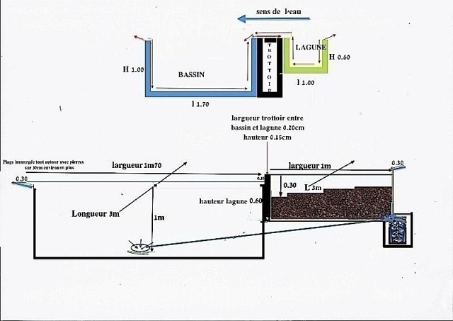 Bassin extérieur 7500L filtré par lagunage Scan0019