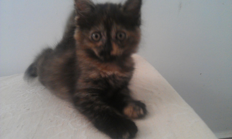 SUZIE (Ailina) Imag0624