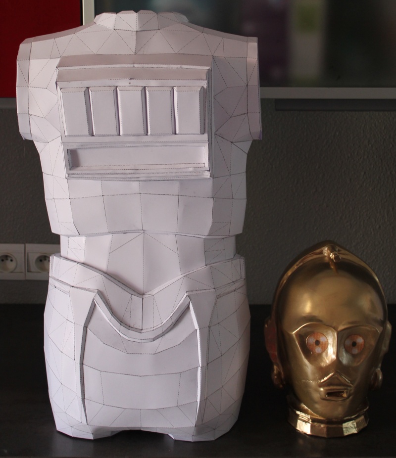 Projet : C-3PO en taille réel résine + Plastiroc + peinture Img_2110