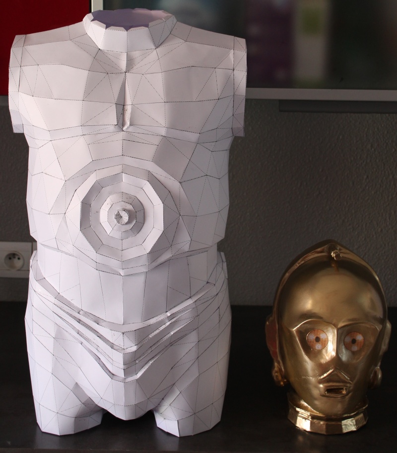 Projet : C-3PO en taille réel résine + Plastiroc + peinture Img_2111