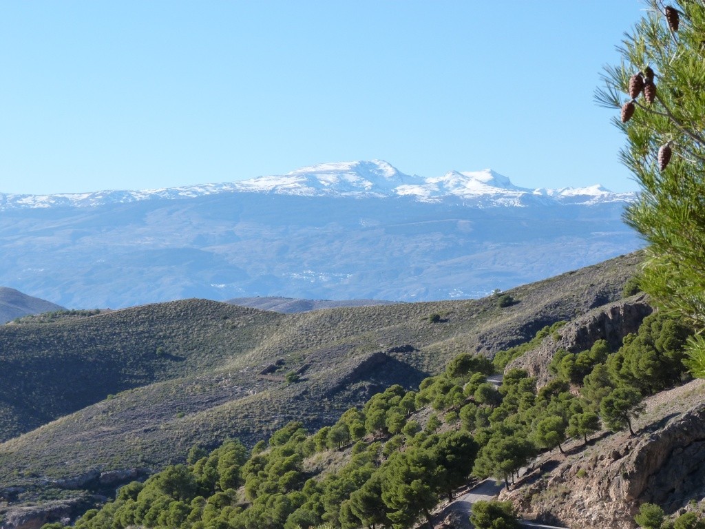 Decouverte de l'espagne (Andalousie ) en Hummer P1020610