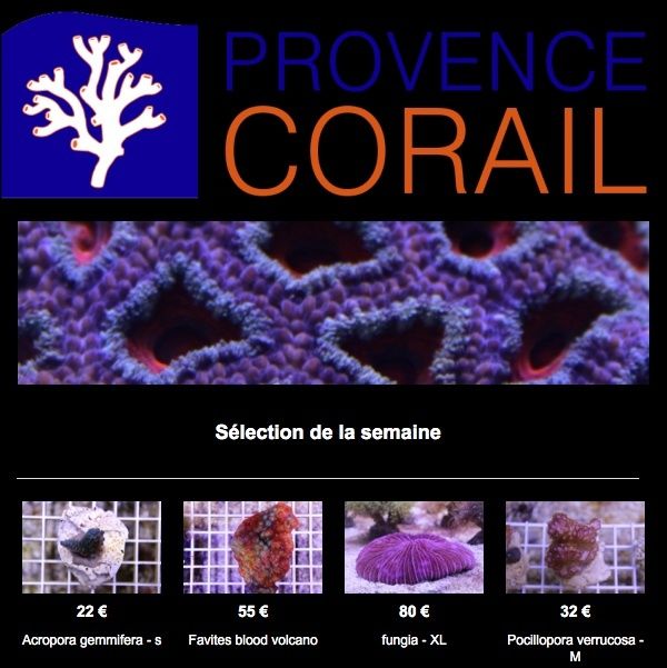 provence corail - Page 2 Captur11
