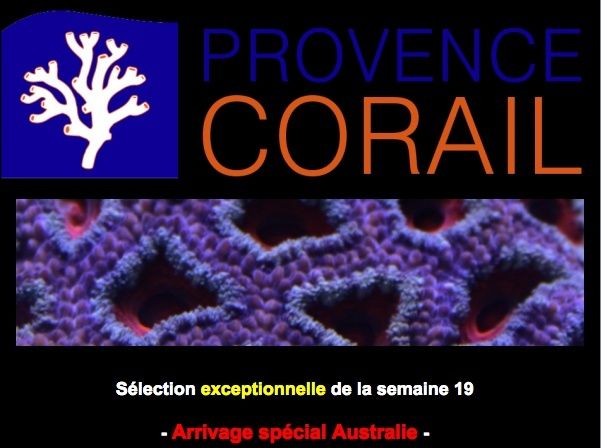 provence corail - Page 2 Captur12