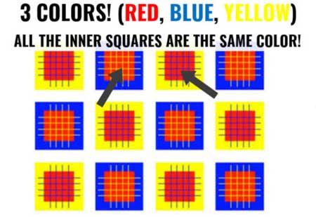 كم من الألوان تشاهدون في هذه الصورة ؟ اختبروا سرعة دماغكم... 510