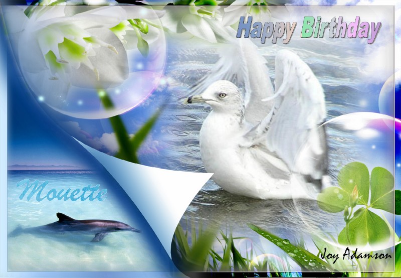 Bon anniversaire Mouette Annive12