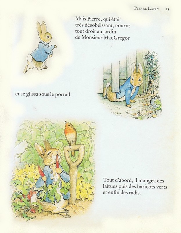 Les lapins dans les livres d'enfants Pierre10