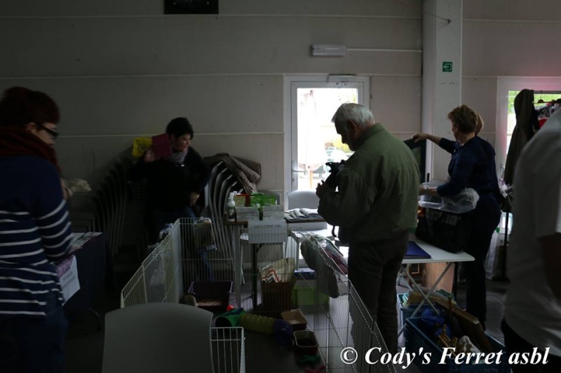 Balade canine et salon bien-être animal et humain dimanche 24 Avril 2016 à Gosselies (Belgique) 13062510