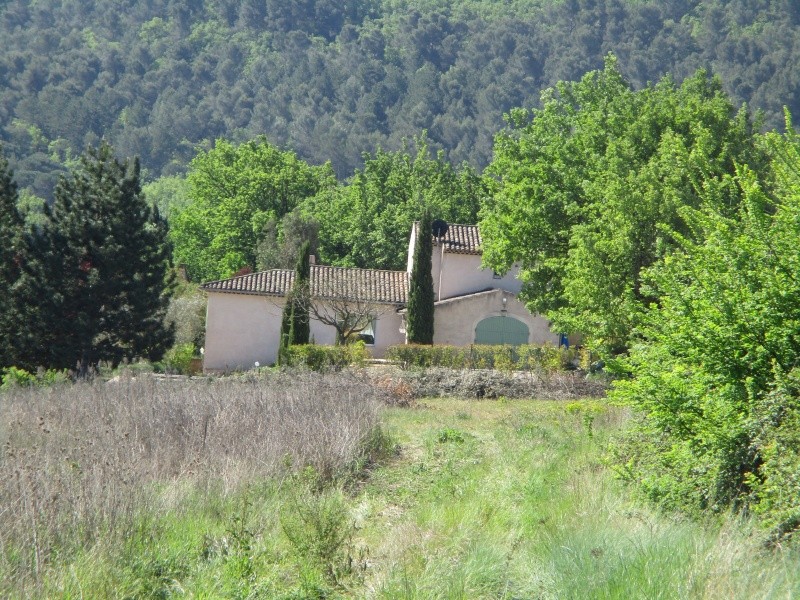 Aux portes du Luberon Img_2417