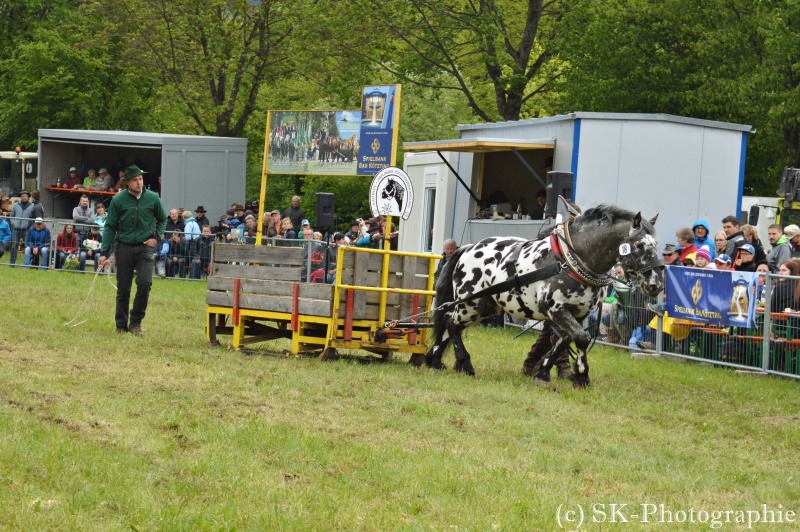 *Zugleistung Bad Kötzting 15.05.2016* Bk_0410