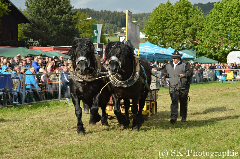 *Zugleistung Bad Kötzting 15.05.2016* Bk_2011