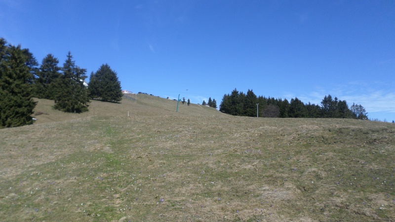 Réaménagement secteur Observatoire - Le Revard (Savoie Grand Revard)  02710