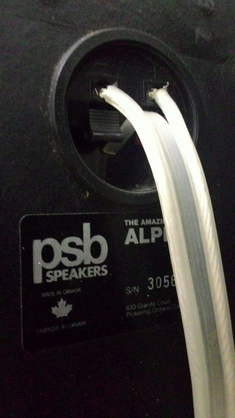 PSB speakers the amazing alpha (sold) P_201651