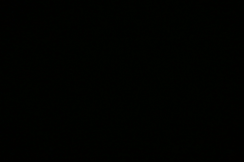 Hors défi Thème de Mars 2016 " Grosse Flemme " (fin le samedi 26) P1010310