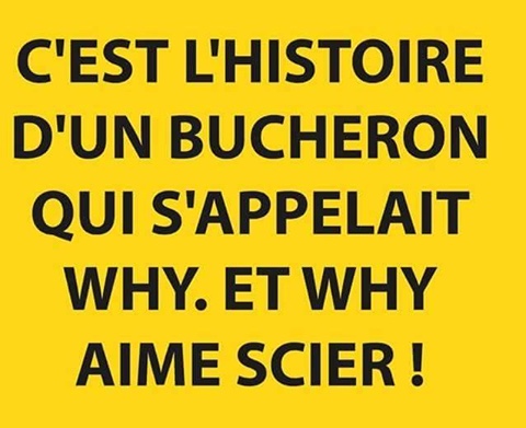 humour - Page 13 12920310