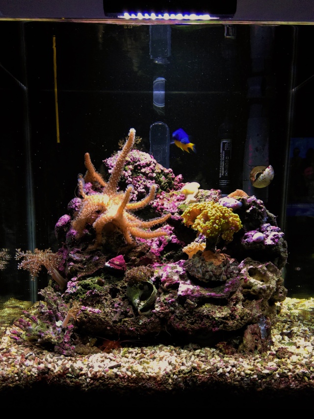 First 60-->120 litres DIY - Page 4 Imag1112