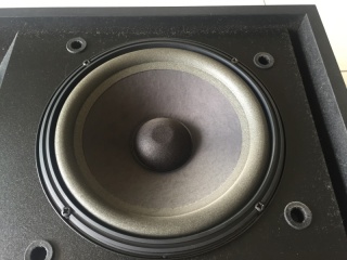 Bose 301-3 Speakers (SOLD) Img_4422