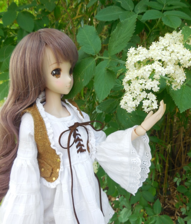   [Smart Doll - Mirai Suenaga] Ma petite fleure <3 Dscn1216