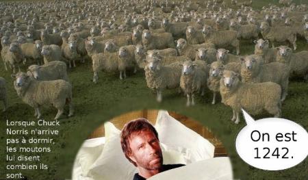 chuck norris - Page 3 Cnf2-q10