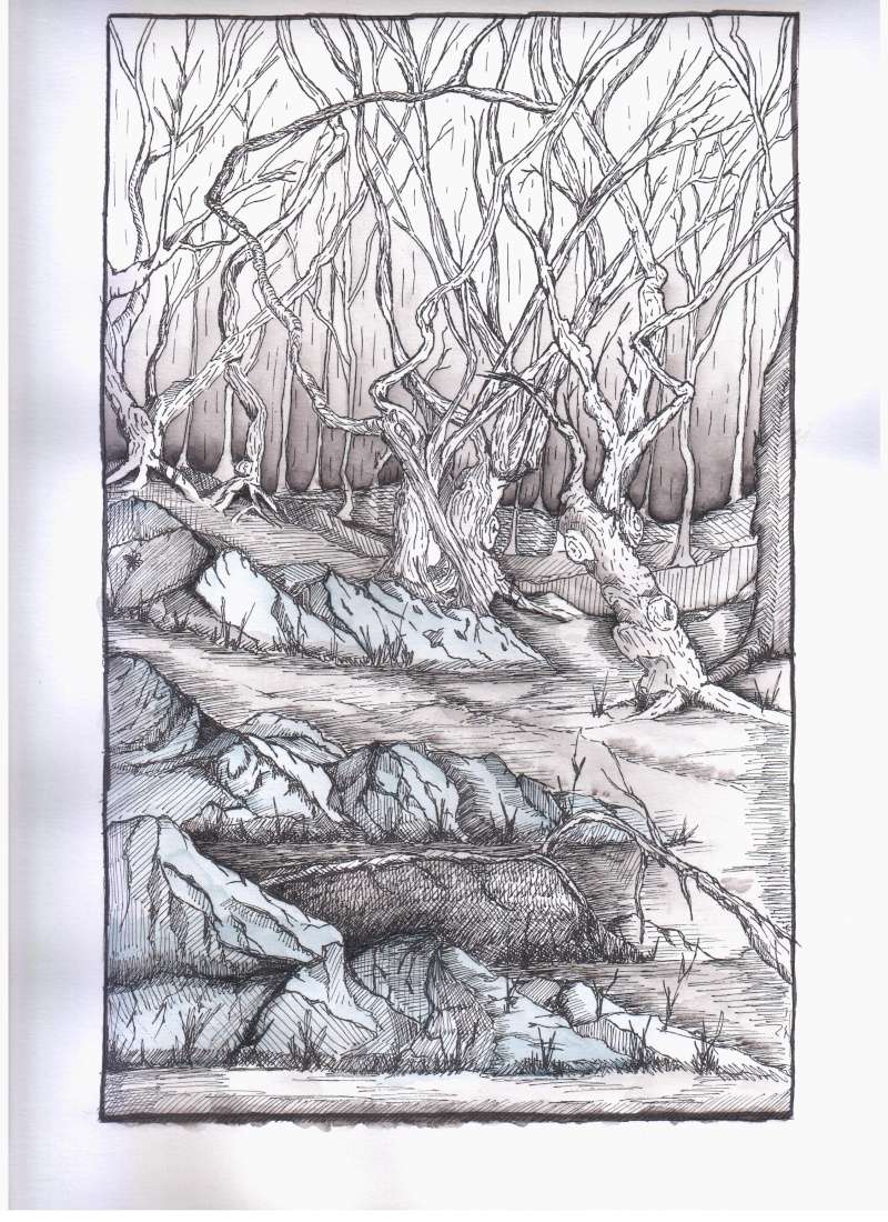 Un petit dragon - Page 2 00310