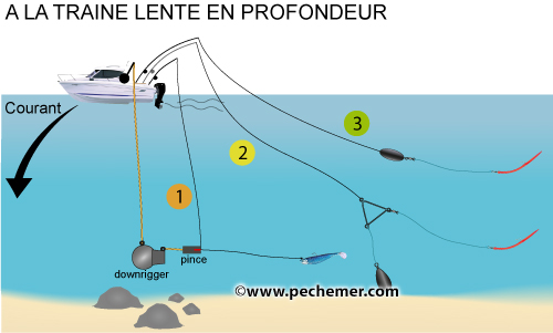 Les bases de la traine côtière