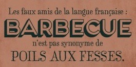 Mort de rire — parce que j'ai le sens de l'humour, moi ! - Page 29 Barbec11