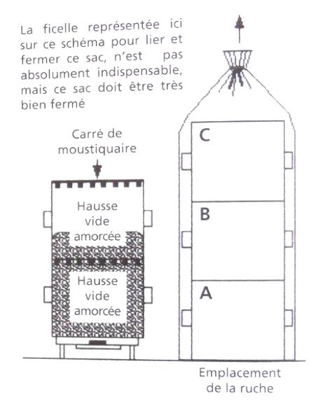 Ruche écologique et barrettes: Lutte VARROAS Dsc01053