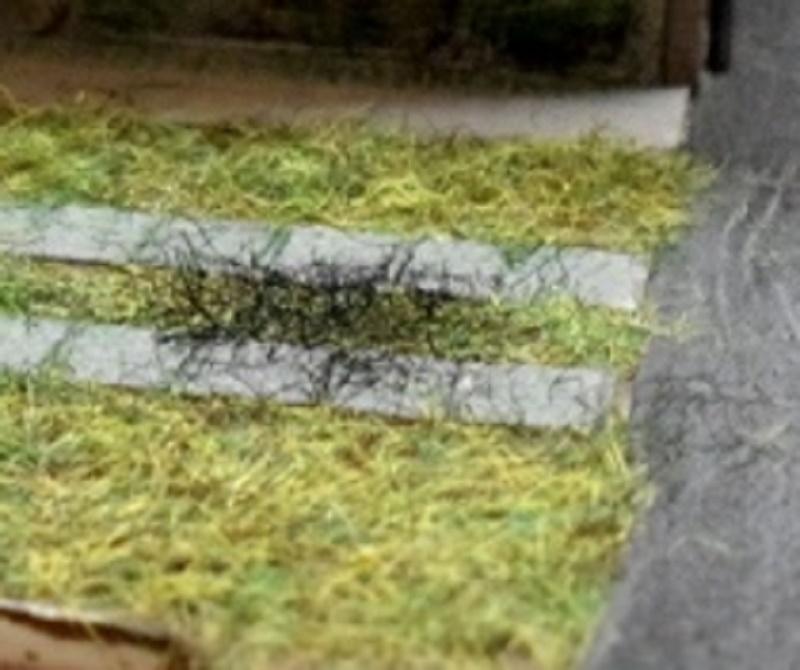 Mon premier diorama. - Page 3 Sam_1212
