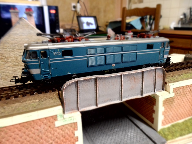 Mon premier diorama. - Page 3 Sam_1229
