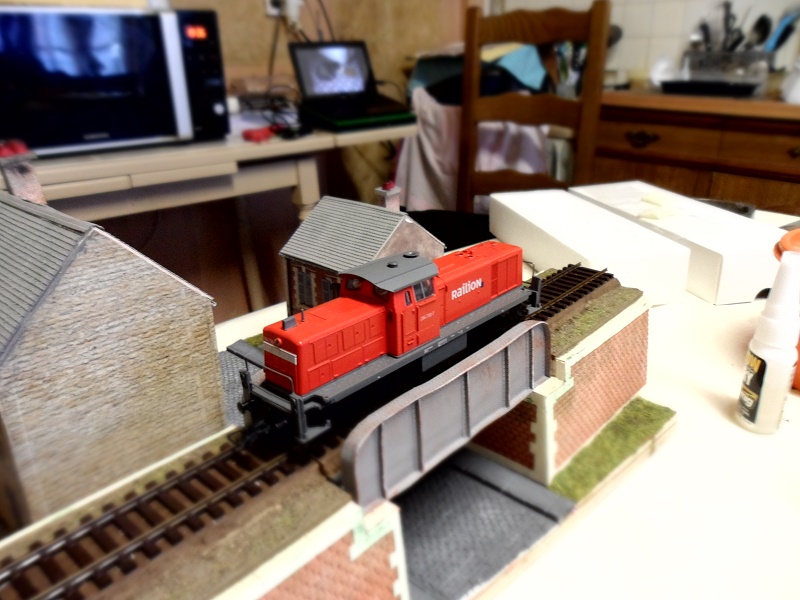 Mon premier diorama. - Page 3 Sam_1231