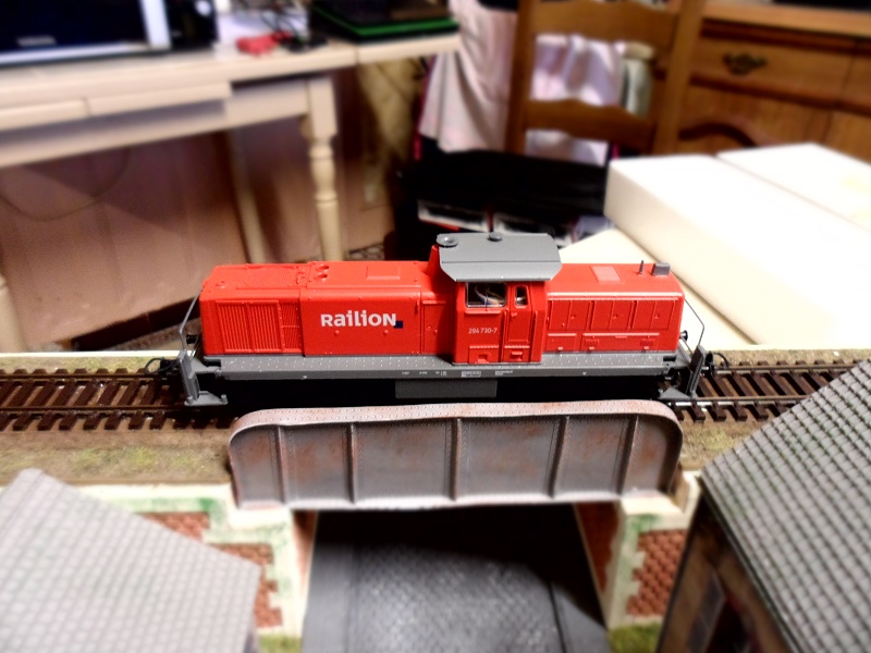 Mon premier diorama. - Page 3 Sam_1232