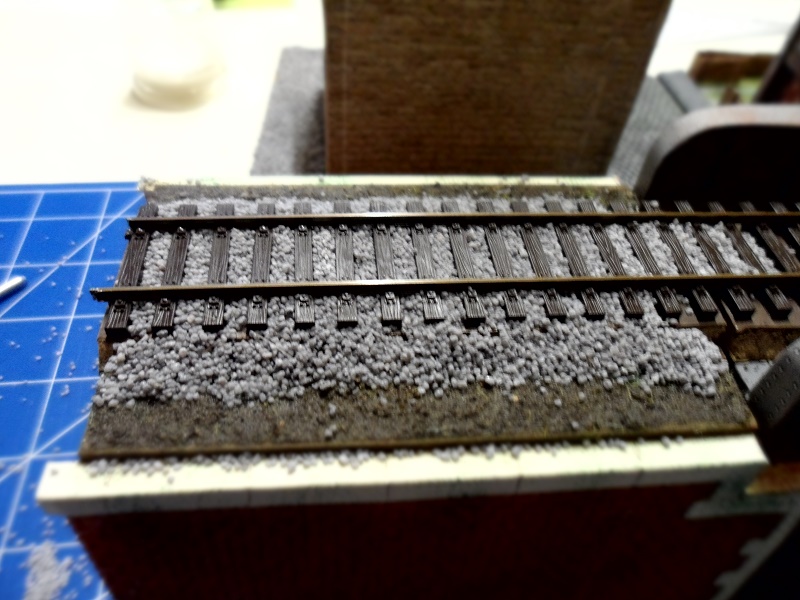 Mon premier diorama. - Page 3 Sam_1316