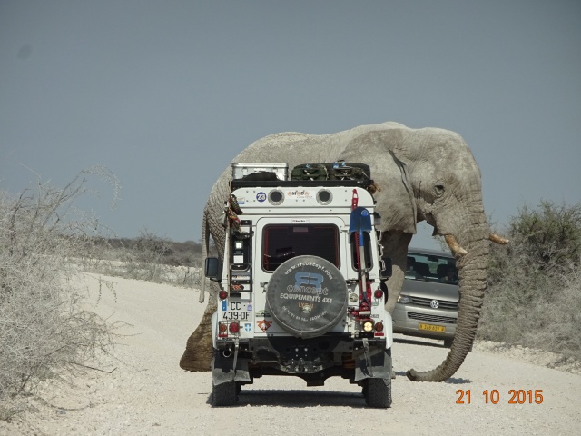 Afrique de l'Est en automne 2015 Dsc01418