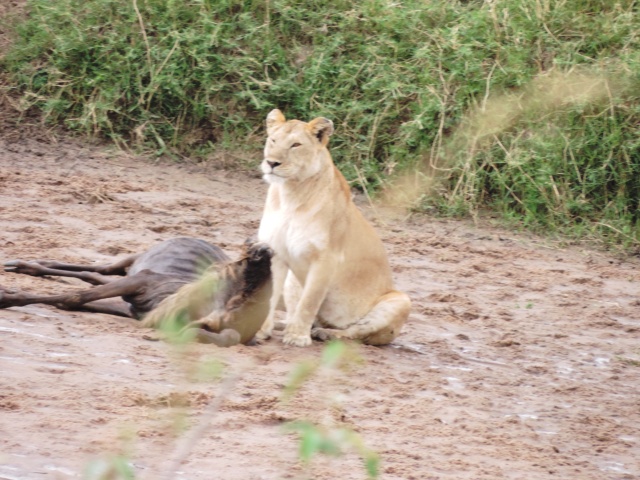 Afrique de l'Est en automne 2015 Dscn3715