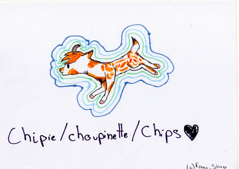 Chipie/Chips/Choupinette... Chipie10