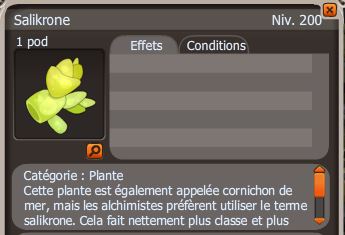 Les Items Plante10