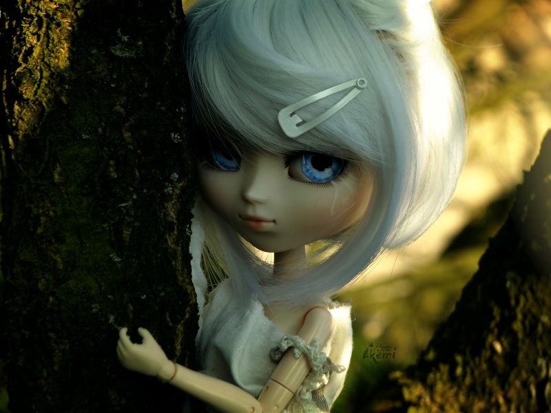 Tara, petit ange blanc ♥ Dscf1911