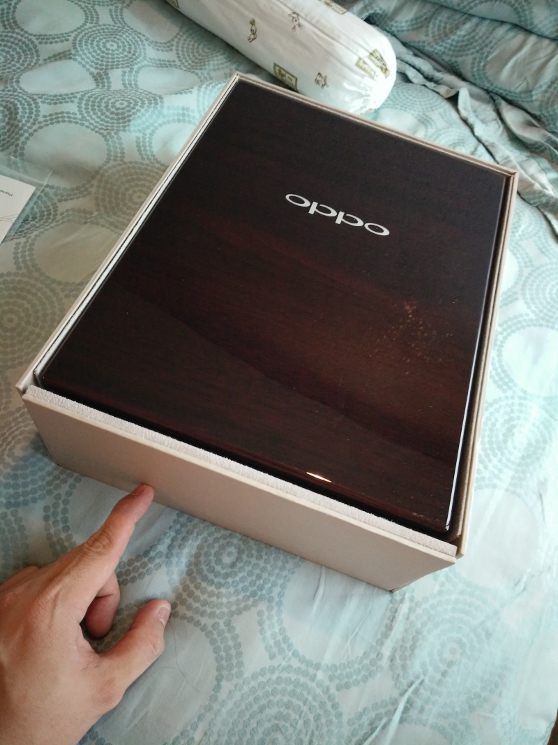 Oppo Planar Magnetic PM-1 (SOLD) Img20130