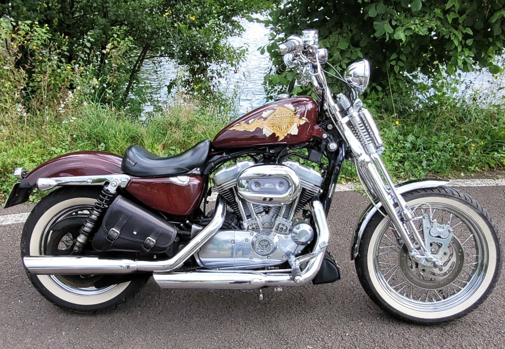 Nouveau Sportster 2021 - Page 2 Aout_211