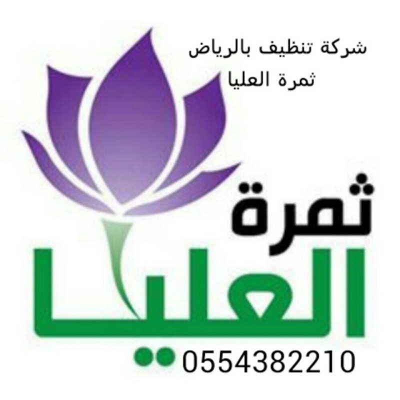 شركة تنظيف شقق شرق الرياض 0500586738 العليا 11203124