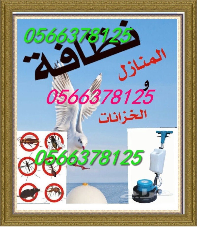 تنظيف كنب بشمال الرياض 0500586738 العليا   1fi9zw14