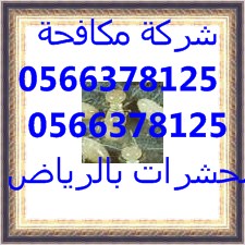 شركة تنظيف شقق شمال الرياض 0554382210 العليا Cfi3qa12