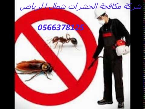 شركة مكافحة حشرات غرب الرياض 0554382210 العليا Hqdefa11