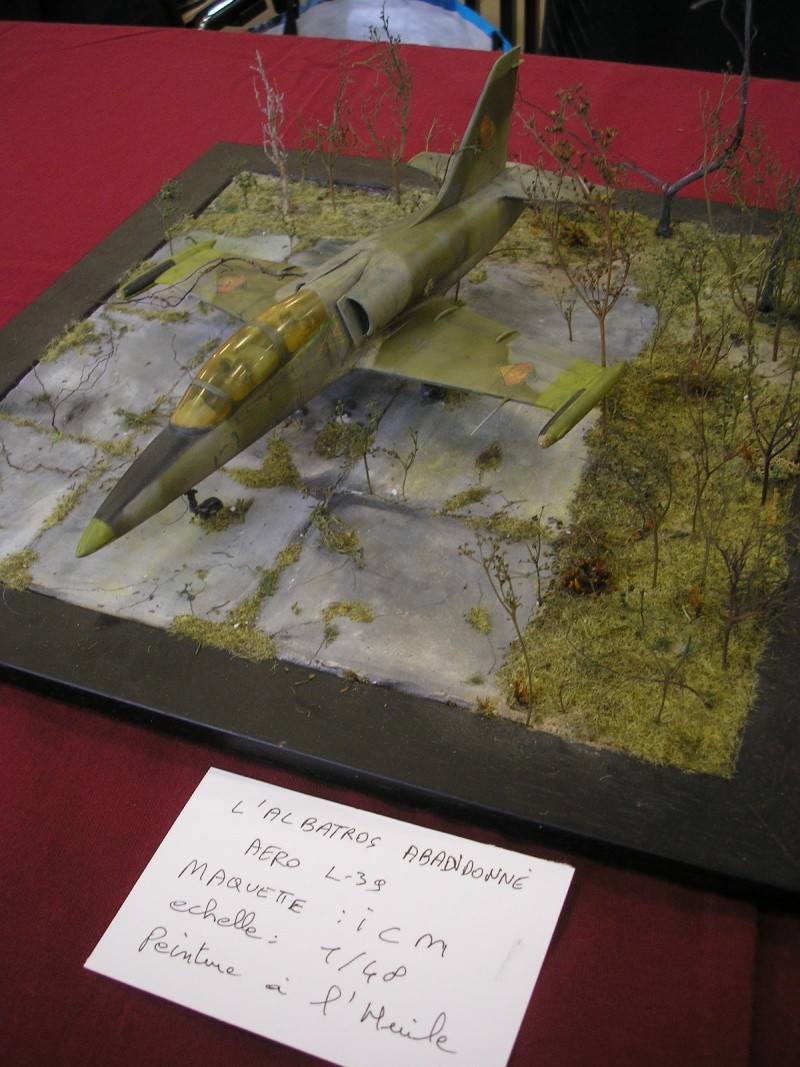 TINQUEUX (51 MARNE) Compte rendu du salon du 21 et 22 MAI 2016 ... - Page 2 Avions49