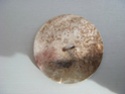 [FRANCE] Un bouton trouvé dans le Champsaur & Valgaudemar (Hautes-Alpes) Dsc03019