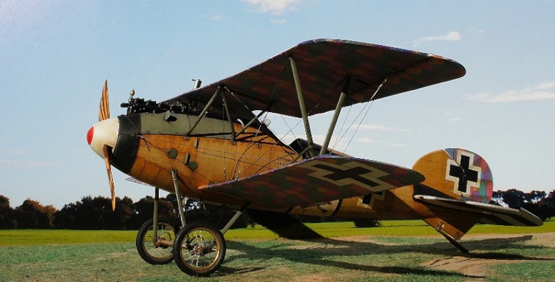 albatros D.VA ( OAW) Wingut Wings Dsc04110